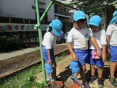 IMG_0694