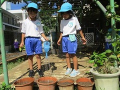 IMG_0697