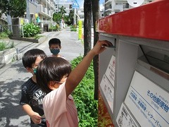 IMG_0762