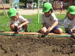 IMG_1012