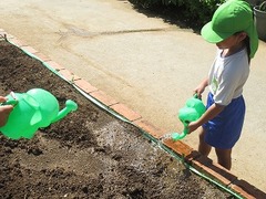 IMG_1015