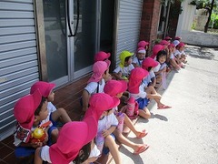IMG_8066