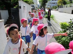 IMG_8067