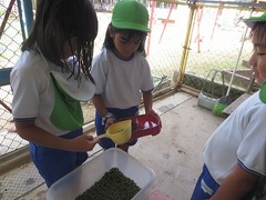 IMG_0948