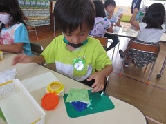 IMG_0954