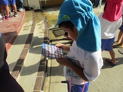 IMG_3555