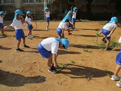 IMG_3563
