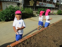 IMG_7861