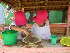 IMG_7919