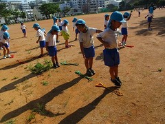 IMG_3495