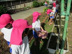 IMG_7603