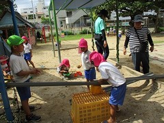 IMG_7645