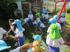 IMG_0577