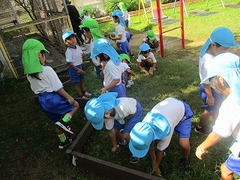 IMG_0579