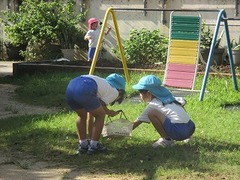 IMG_3051