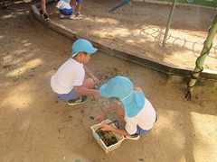 IMG_3052