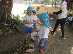 IMG_3053