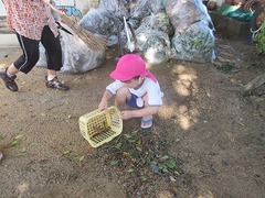 IMG_3061