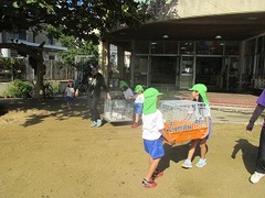 IMG_3067