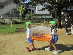 IMG_3068