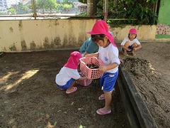 IMG_7501