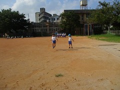 IMG_0537