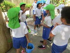 IMG_0549