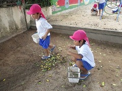 IMG_7390