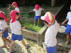 IMG_7394