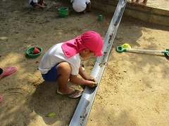IMG_7446