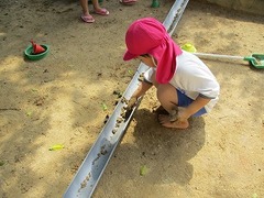 IMG_7447
