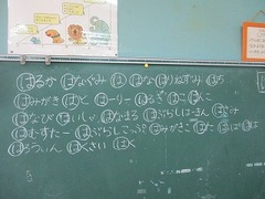 IMG_0417