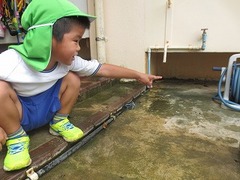 IMG_0502