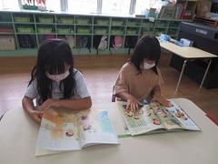 IMG_0527