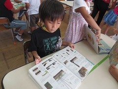 IMG_0530