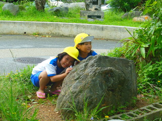 DSCN8241