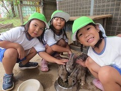 IMG_0230