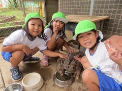 IMG_0231