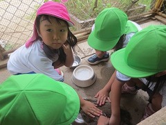 IMG_0232