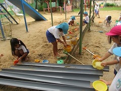IMG_0245
