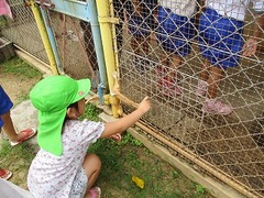 IMG_6657