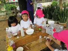 IMG_6659