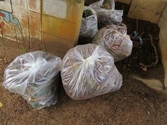 IMG_6700