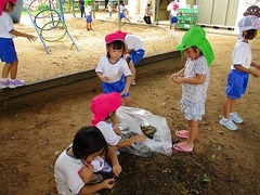IMG_6703