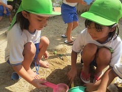 IMG_0200