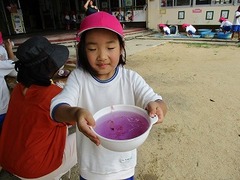 IMG_6510