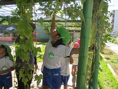 IMG_0124