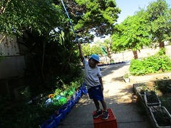 IMG_3213