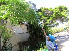 IMG_3214