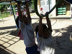 IMG_6293